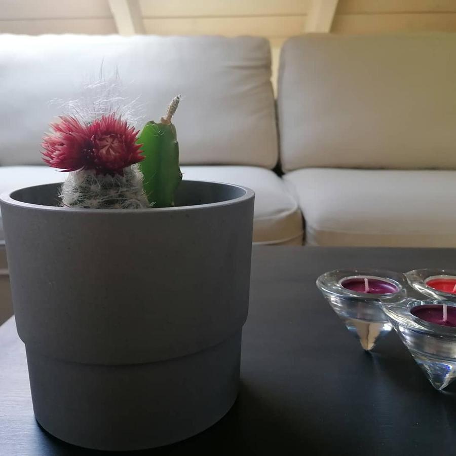 Argostoli Loft Apart otel Dış mekan fotoğraf